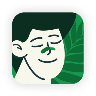 A relaxed drawing of a woman against a green background